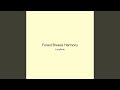 Forest Breeze Harmony