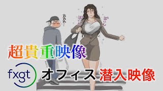 【海外FX】FXGTのキプロスオフィスに潜入【超貴重映像】