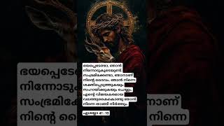 ഭയപ്പെടേണ്ടാ, ഞാൻ നിന്നോടുകൂടെയുണ്ട്. സംഭ്രമിക്കേണ്ടാ, ഞാനാണ് നിന്റെ ദൈവം.