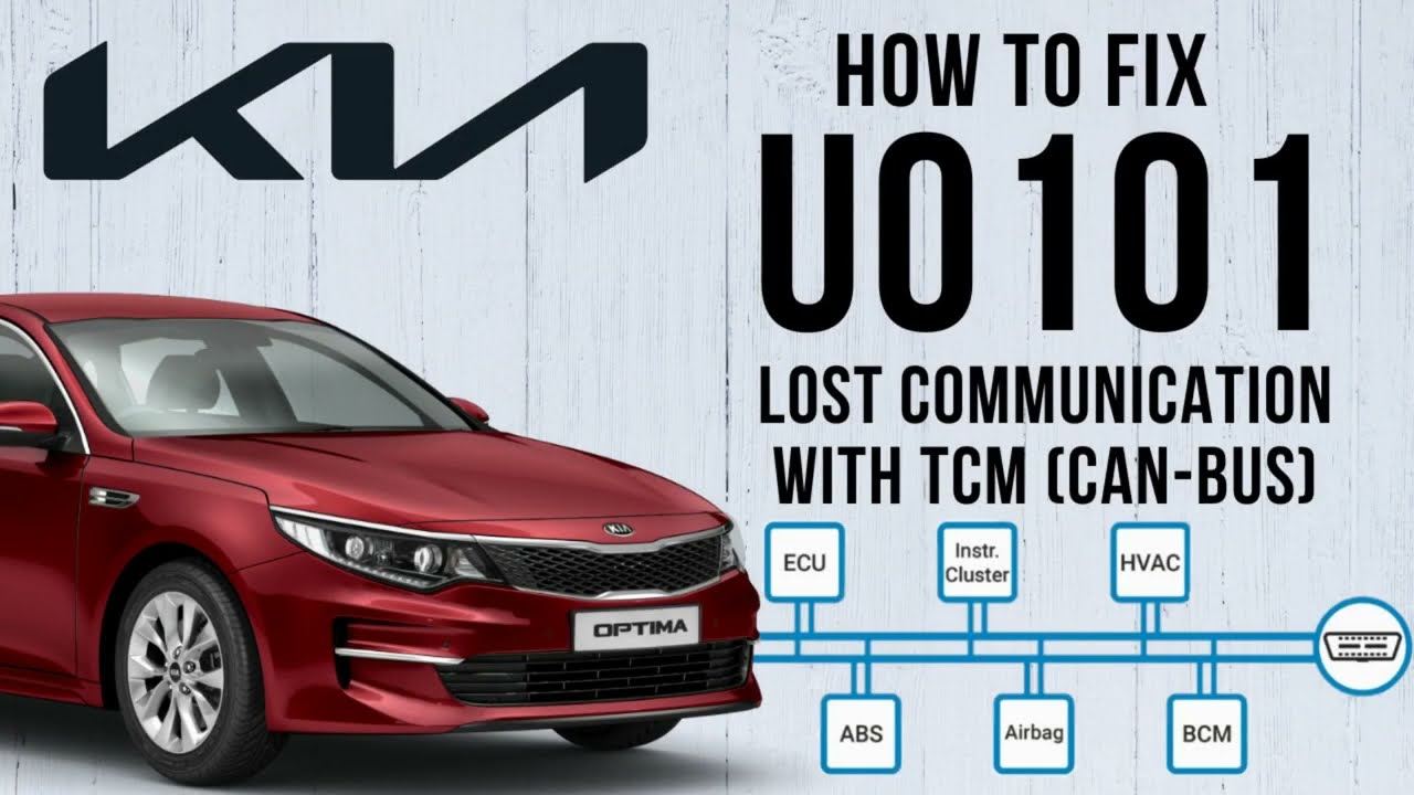 Test & Fix U0101 Lost Communication With TCM (CAN-BUS) | KIA Optima (JF ...