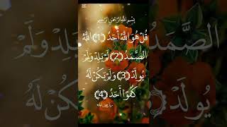 #love#egzonibrahimi#beautifulrecitation #shortsfeed#surahal ihlas      #recitationofthequran #shorts