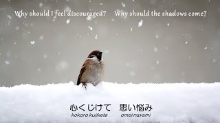 【讃美歌カラオケ・歌詞付き】心くじけて（新聖歌285番）His eye is on the sparrow【English/Japanese Gospel Karaoke】