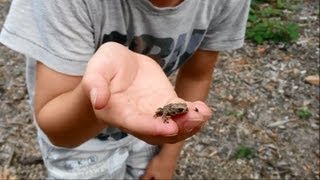 Samsung Galaxy S4 Mini Sample 1080p Video Samsung Galaxy S4 Mini Sample 1080p Video