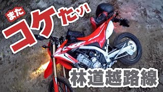 マジ泣きそう。林道越路線を走ってきた！【CRF250L】【モトブログ】【motovlog】【林道】【ツーリング】