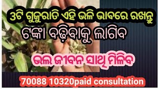 3ଟି ଗୁଜୁରାତି ଏହି ଭଳି ରଖନ୍ତୁ ଟଙ୍କା ବଢିବାକୁ ଲାଗିବ ଓ ଭଲ ଜୀବନସାଥି ମିଳିବ//