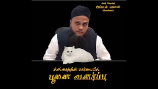 இஸ்லாத்தின்  பார்வையில்  பூனை வளர்ப்பு / ASH SHEIKH  IMRAN HASSAN