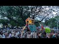 mysore dasara procession jamboo savari ಮೈಸೂರು ದಸರಾ ಹಬ್ಬ