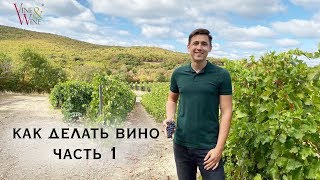 Как делать вино. Часть 1