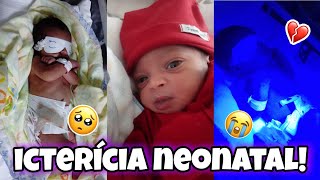 RENATO TEVE ICTERÍCIA NEONATAL | PROBLEMAS COM A AMAMENTAÇÃO! - Ficamos 1 semana internados! 💔😞