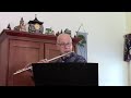 Haydn Serenade, Flute