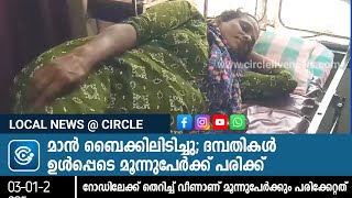 മാൻ ബൈക്കിലിടിച്ചു; ദമ്പതികൾ ഉൾപ്പെടെ മൂന്നുപേർക്ക് പരിക്ക്