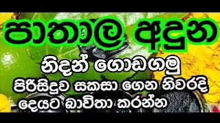 නිවැරදි පාතාල අදුනක් යනු|පොළව දෙබැවි පෙනෙන පාතාල අදුන|නිදන් ගන්න|pathala aduna|jayalal punchi hewa