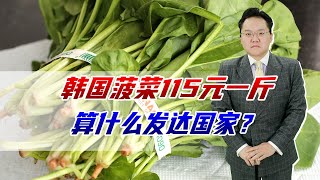 韩国菠菜卖115一斤，原来不止吃不起水果和肉，这叫什么发达国家？