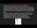 Патология зрительного анализатора при поражении на разных уровнях неврология ход пути