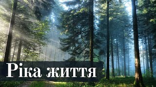 🎙️ Ріка Життя | Зворушливі вірші українською ✍