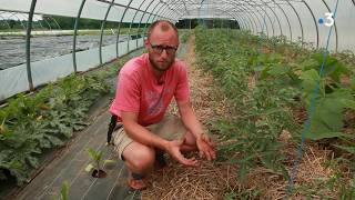 5 conseils pour réussir son potager bio
