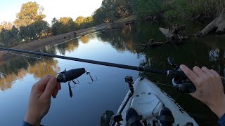 Murray Cod - Surface and Swimbaits