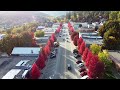 beautiful rossland b.c. cinematic drone footage