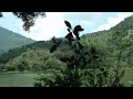 埔里鯉魚潭 南投 puli liyu lake.環湖 面積20公頃 小火車.天水蓮大飯店.full hd 1080p