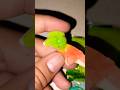 Unboxing Permen Yupi Bentuk Burung Paruh Kolibri #Shorts #Vlog #Viral #Candy