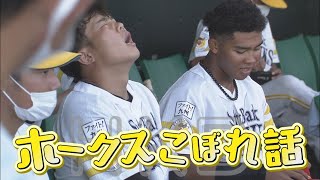 【シリスポ！】　応援したくなるルーキー　ドラ１井上朋也　【ホークスこぼれ話】