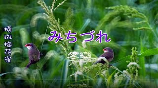 みちづれ《冬戀》