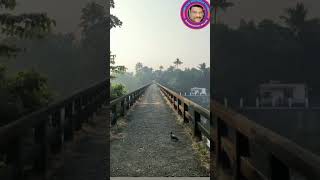 ഓർമകളിൽ ഒരു പാലവും നടന്ന വഴികളും