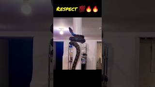 Respect 😱💯🎯 ।। Amazing Snake 🐍 #respect #respectshorts #shorts