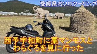 【愛媛】西予市 藁マンモスとわらぐろを見に行ってみた