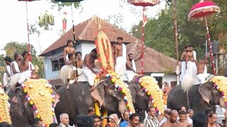 Peruvanam pooram 2019