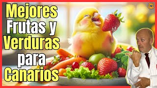 🔴 MEJORES FRUTAS Y VERDURAS PARA CANARIOS 🔴