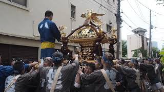 深川八幡祭り（水掛け祭り）　富岡八幡宮　例祭　町内神輿渡御　2018.8.11