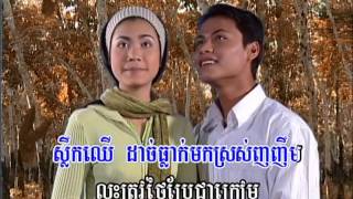 (Sing along) ស្លឹកឈើចាកមែក(Khmer Karaoke) Sleuk Chhirr Chak Mek