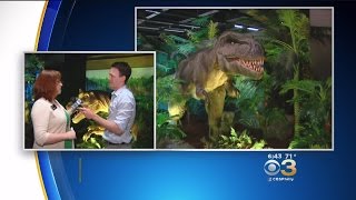 Take A Trip Back In Time With The Academy Of Natural Sciences Dinosaurs Unearthed Exhibit