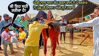 ਕੀ ਇਹ ਸਹੀ ਤਰੀਕਾ ਹੈ ਘੋੜੀ ਨਾਲ ? @FarmingbabaPunjab kya ye sahi tarika hai mare ke saath horse fair