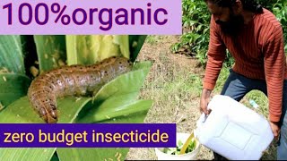 how to preparing zero budget insecticide. ನೀವೇ ತಯಾರಿಸಿ ಸಾವಯವ ಕೀಟನಾಶಕ.