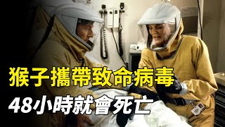 猴子攜帶致命病毒，被偷渡到美國，感染者48小時內死亡！災難片《極度恐慌》