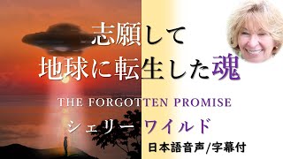 【シェリーワイルド】①ガイアの叫び 宇宙からのサポート/ THE FORGOTTEN PROMISE/忘れられた約束 宇宙から志願し転生した魂 原子爆弾投下 UFO/ET拉致事件 UFO遭遇