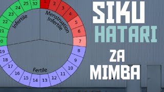 Siku za hatari za kushika mimba haraka (Hatua kwa hatua) #mimba