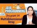 Program on Multidimensional Array  - Arrays in Java Programming Language - Java Programing Tutorial