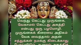 🌹🪔🙏வெந்து கெட்டது முருங்கை வேகாமல் கெட்டது அகத்தி🦚🌹🪔