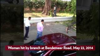 Branch falls on, injures woman at Bendemeer Road