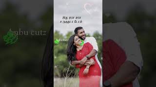 அனைவருக்கும் ஆங்கில புத்தாண்டு வாழ்த்துக்கள்...🌙🌹#Anbu/Cutz