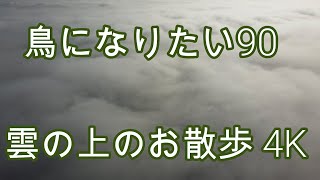 鳥になりたい90雲の上のお散歩4K