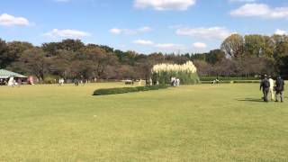 神代植物公園～芝生広場