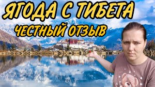 Тибетская малина | Не сажай её пока не посмотришь!