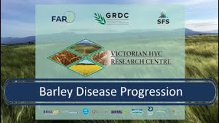 Barley Disease Progression (HYC Victoria)