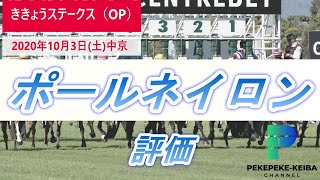 【ききょうステークス】オルフェーヴル産駒　ポールネイロンの評価　POG2020-2021　クラシックホースを探せ【元騎手候補生ペケペケの競馬チャンネル】