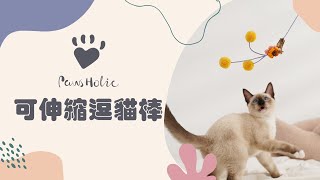 Pawsholic 爪迷 手工逗貓棒