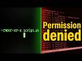Permission Denied Even After chmod +x? Try This